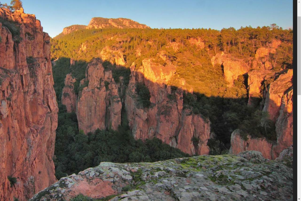 Entre Mer Et Esterel Рокбрюн-сюр-Аржан Экстерьер фото